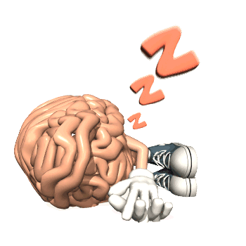 brain12